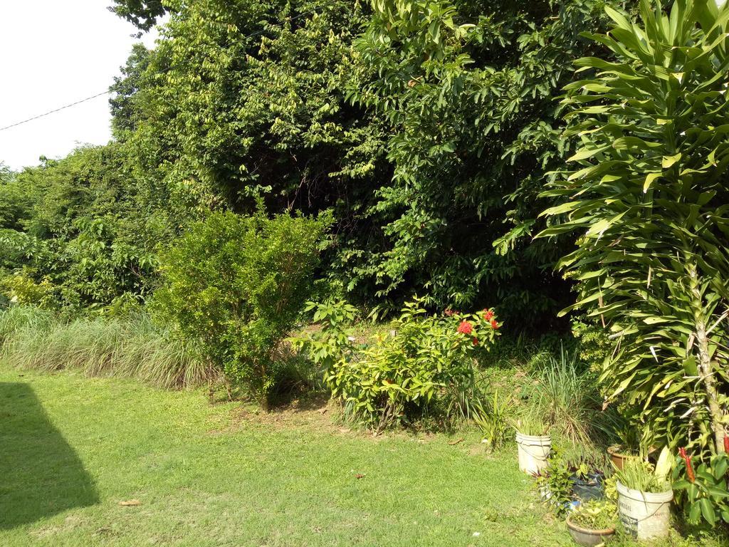 Nas Villaria Langkawi Pantai Cenang  Luaran gambar